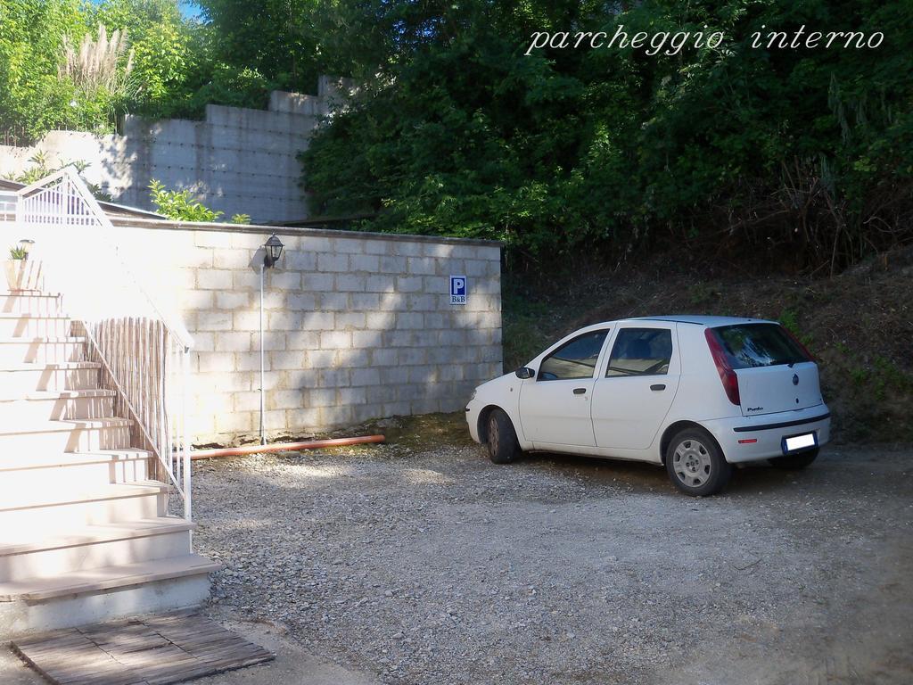Falcone * Ortona